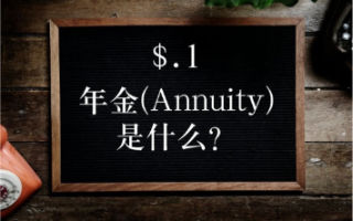 what is annuity