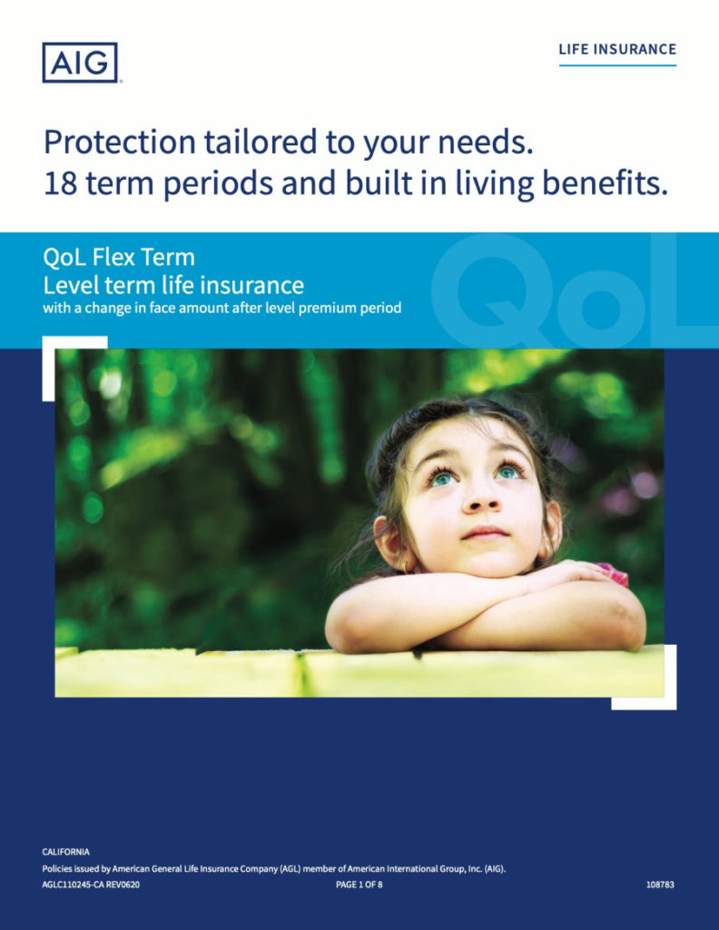 aig term life insurance aig term life insurance