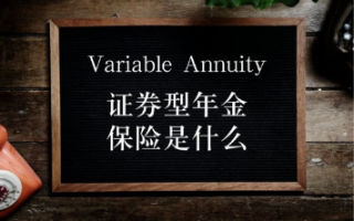variable annuity pro at con